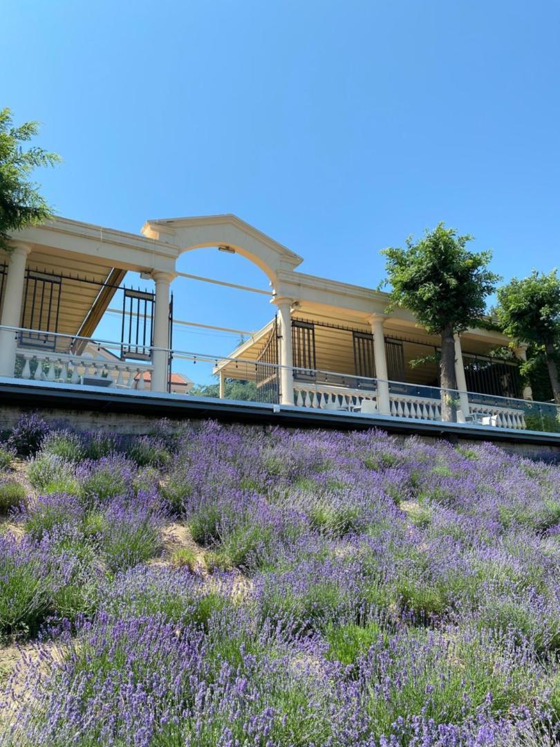 La Gioconda Boutique Hotel Odessa Ngoại thất bức ảnh